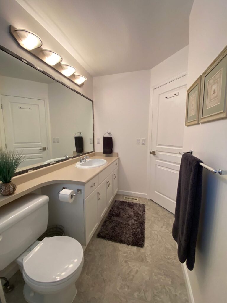 Main bath countertop and toilet