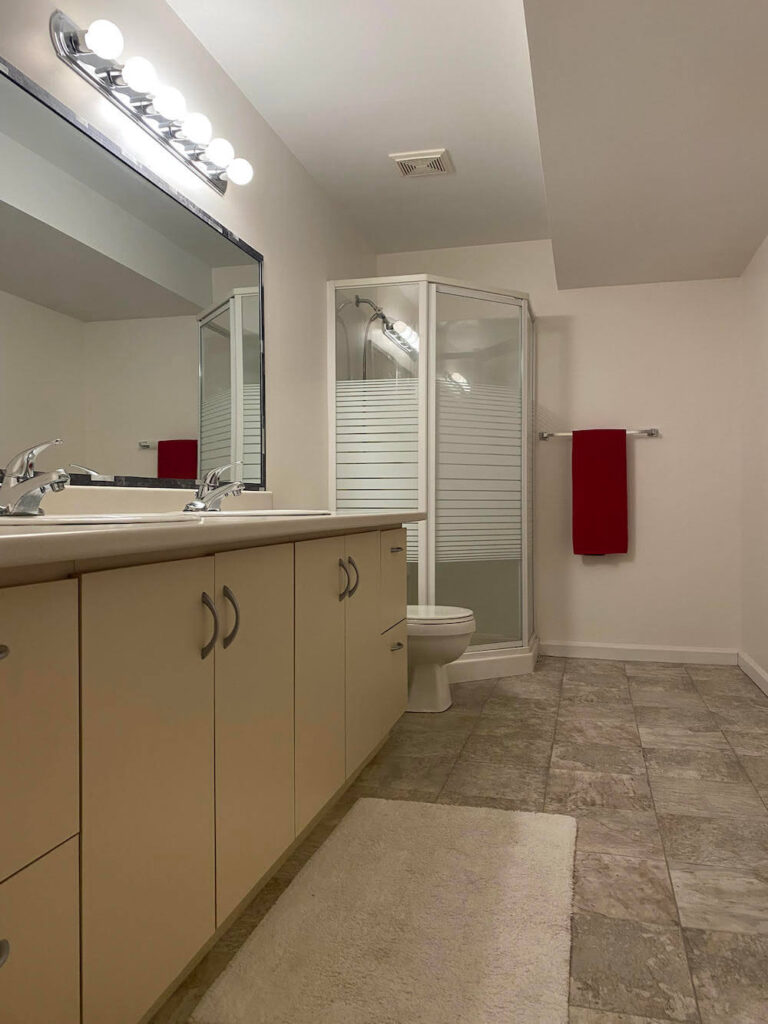 Lower bathroom from doorway showing countertop, lights and shower